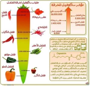 ويلبر سكوفيل خريج جامعة ييل #ذكري للتاريخ ميلاد الصيدلى ولبر سكوفيل 22-1 اليوم يوافق الميلاد google يحتفل بفيديو إنبهاري